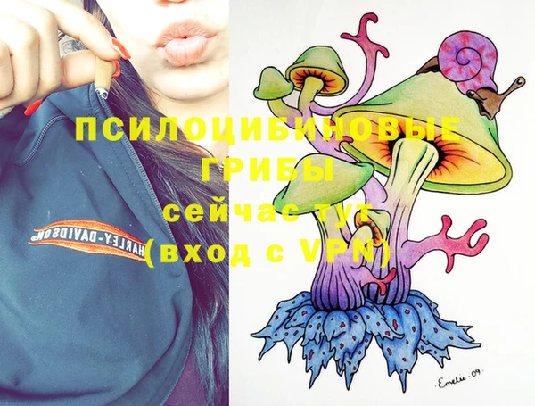 винт Балахна