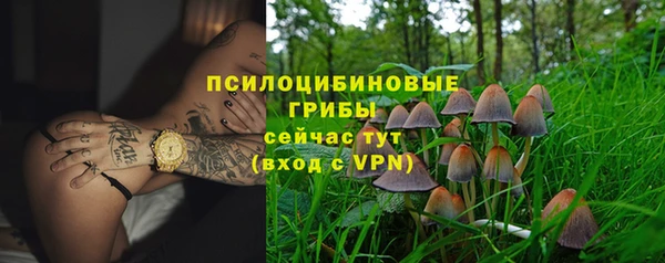 сатива Баксан