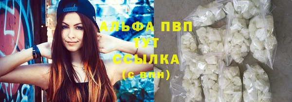 сатива Баксан